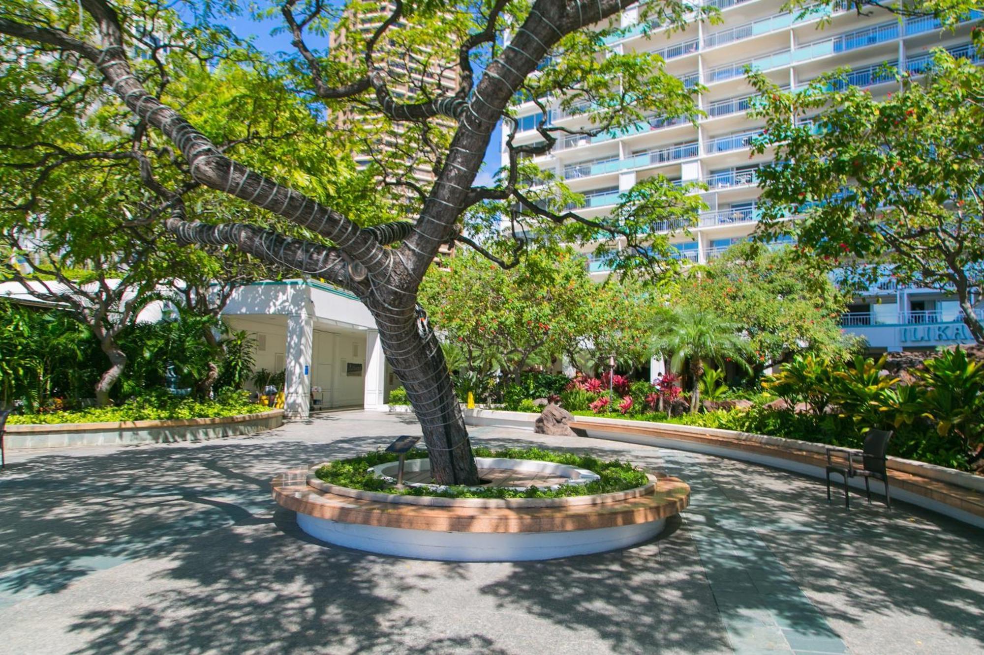 Ilikai Tower 931 Yacht Harbor View 1Br Honolulu Exterior foto
